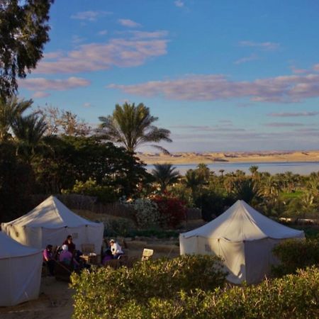 Tunis Village El-Fayoum Luaran gambar